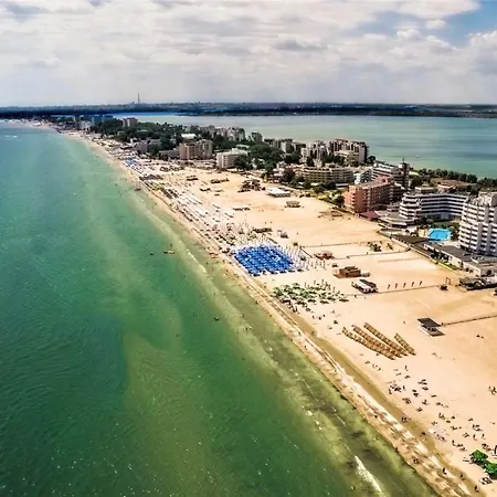 Deluxe Criss Solid *