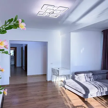 Apartment Deluxe Criss Solid *